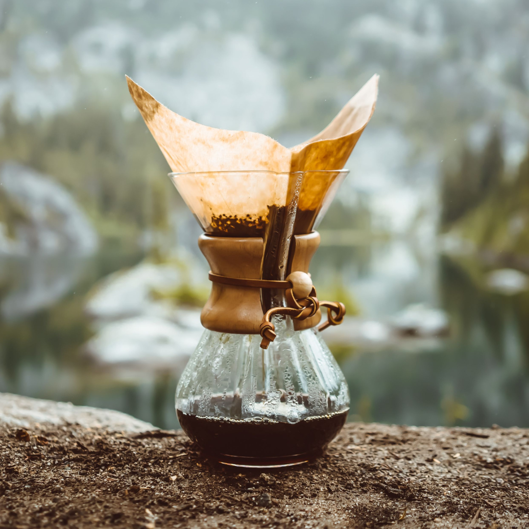 Guatemala - Finca San Lorenzo
